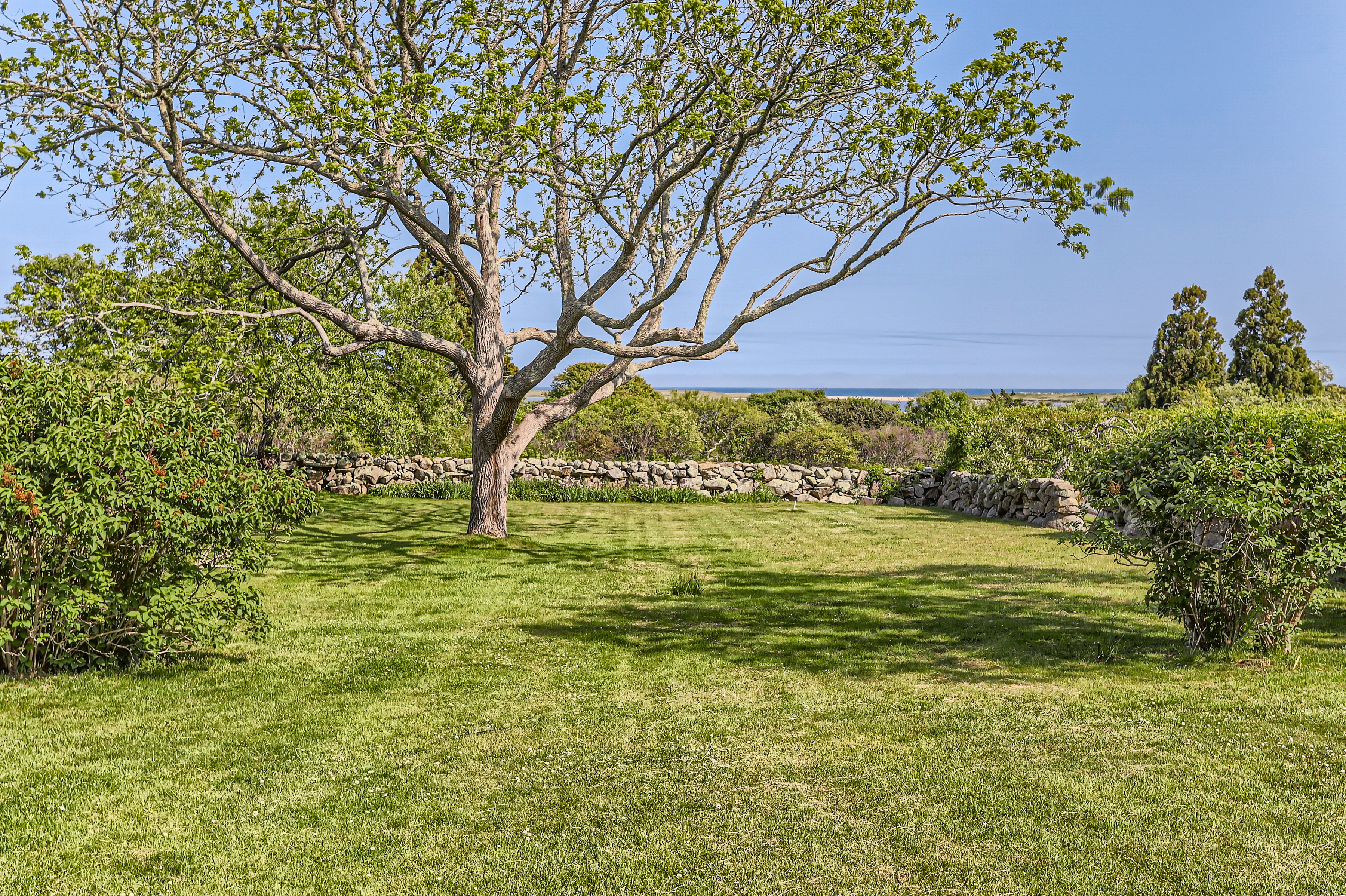 260 S Road Chilmark, MA 02535 - Photo 8 of 78 Gallery Image 8