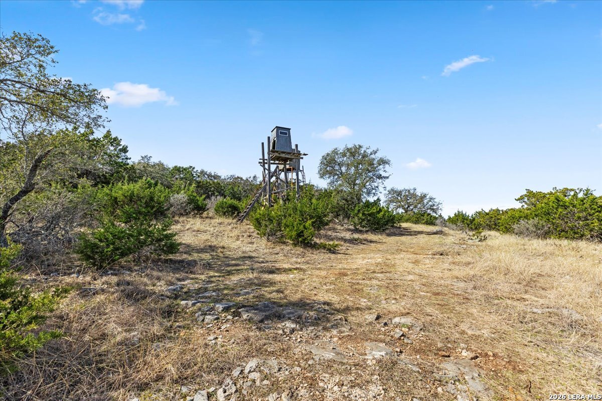2633 Jackson Creek Road Medina, TX 78055 - Photo 12 of 27 a view of a field with an trees