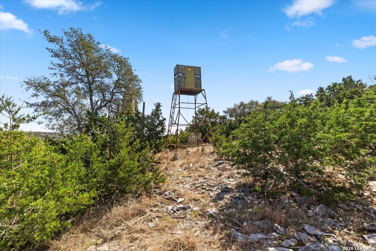 2633 Jackson Creek Road Medina, TX 78055 - Photo 14 of 27 a backyard of a house with lots of green space
