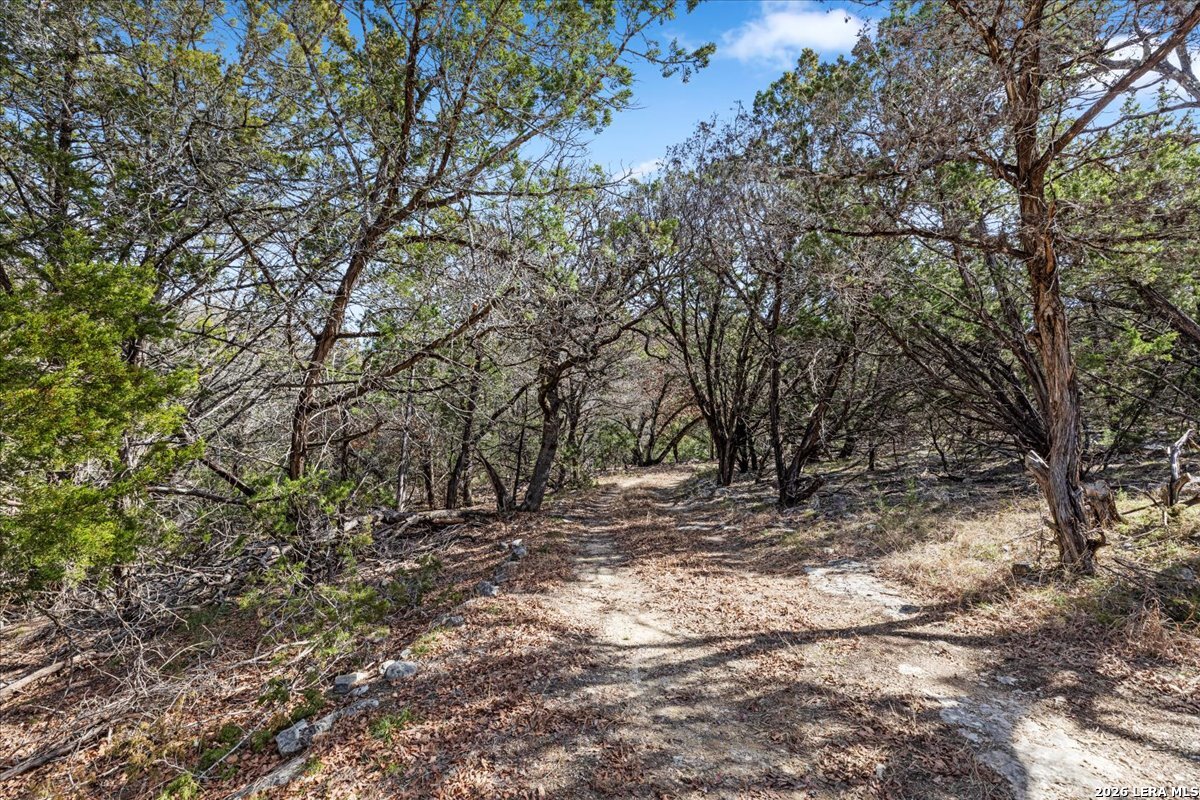 2633 Jackson Creek Road Medina, TX 78055 - Photo 2 of 27 a view of a yard with a tree