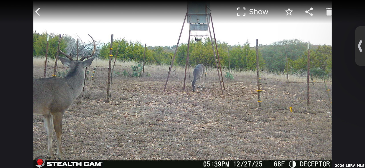 2633 Jackson Creek Road Medina, TX 78055 - Photo 29 of 31 a view of a yard
