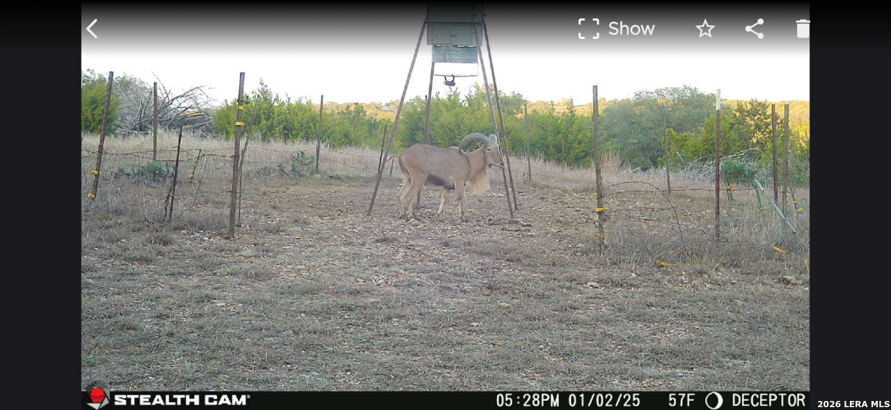 2633 Jackson Creek Road Medina, TX 78055 - Photo 31 of 31 a view of a yard