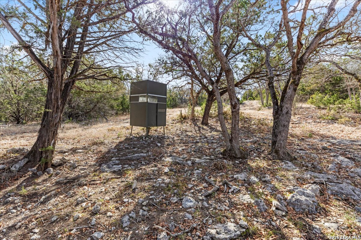 2633 Jackson Creek Road Medina, TX 78055 - Photo 6 of 27 a fire hydrant in middle of the forest