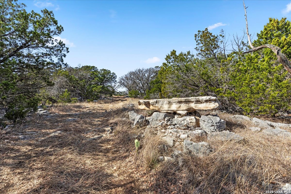 2633 Jackson Creek Road Medina, TX 78055 - Photo 8 of 27 a backyard of a house with lots of green space