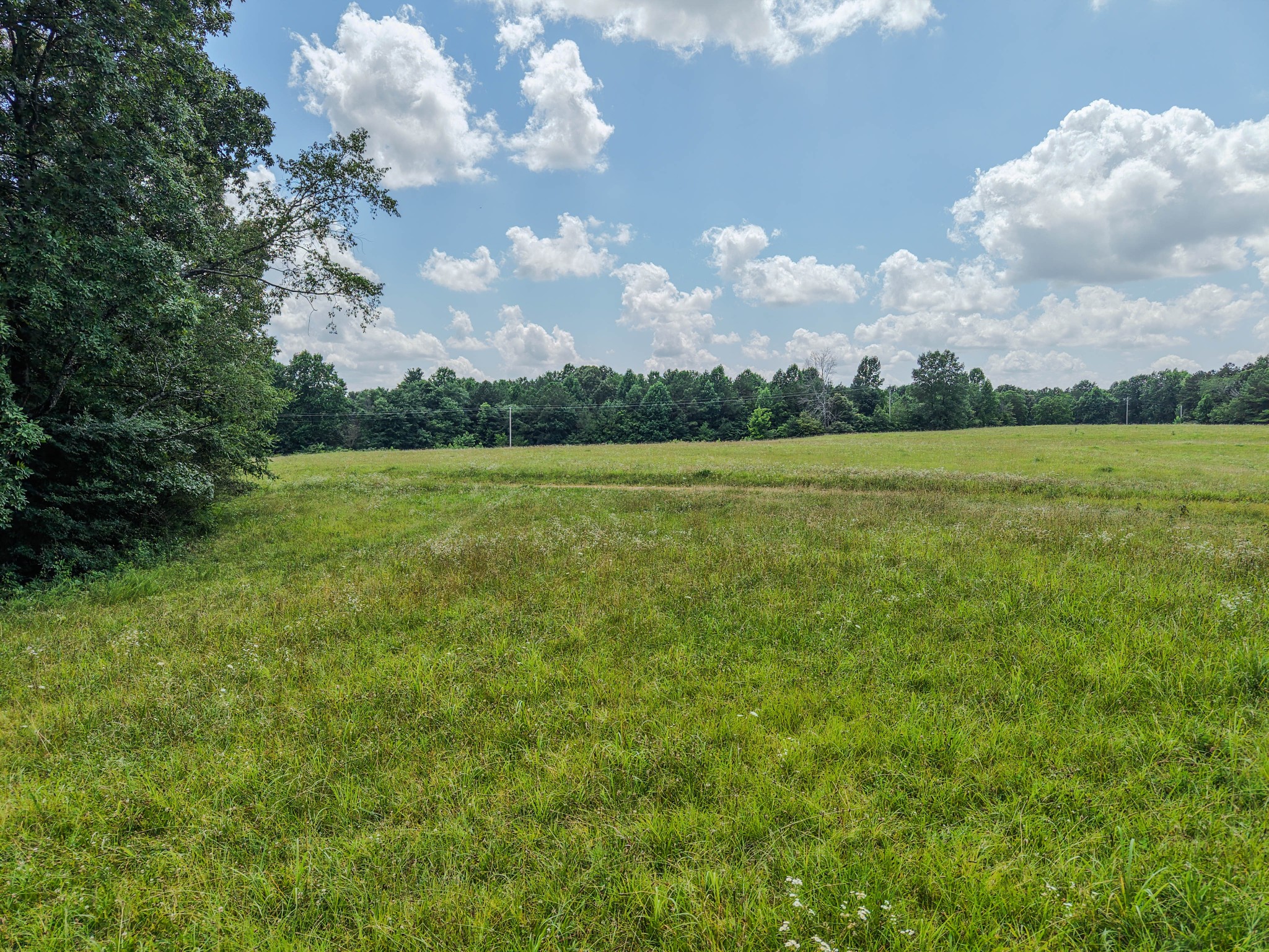215 Clear Creek Road Leoma, TN 38468 - Photo 4 of 13