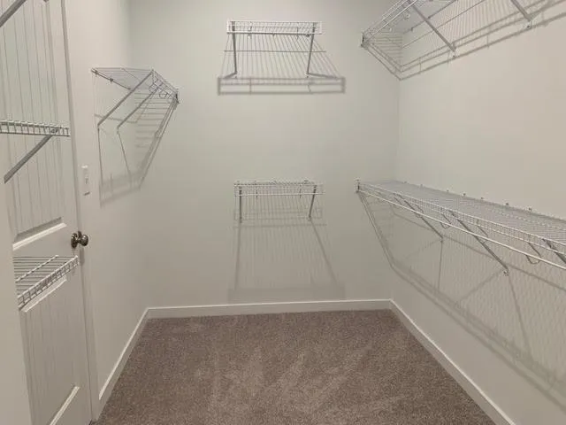 a view of a room with racks on the wall