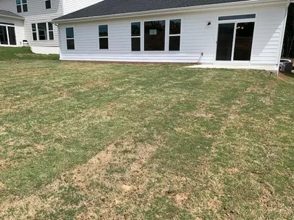 a house that has yard in front of it