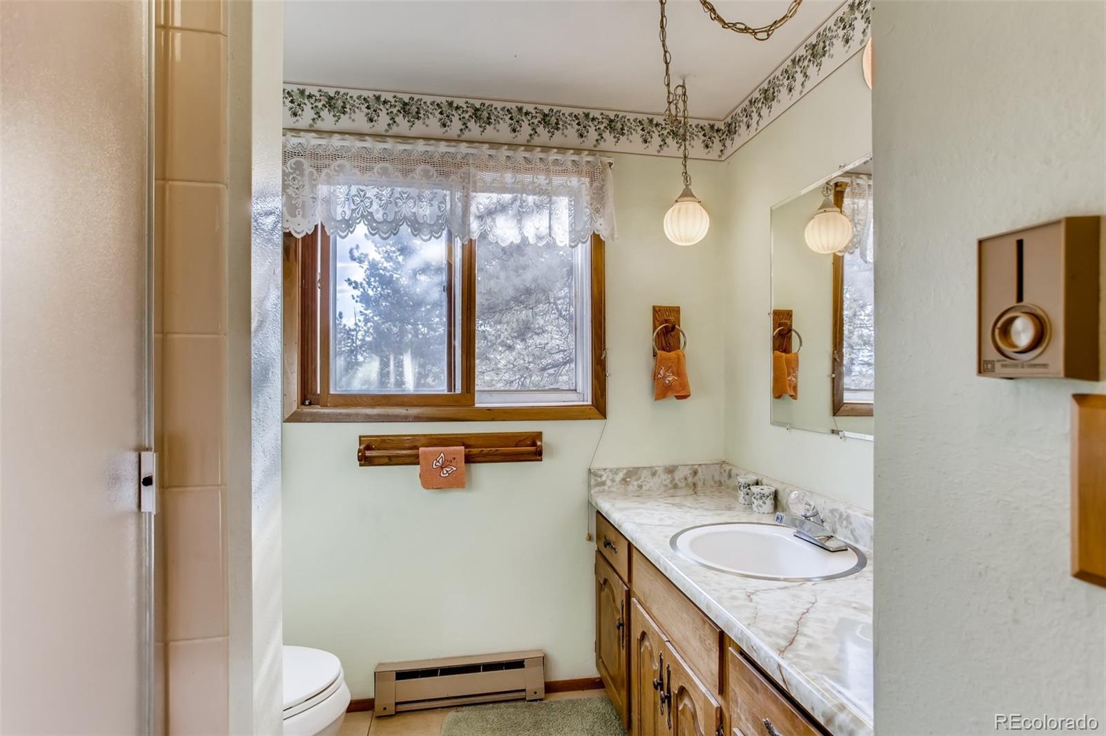 237 Rd B Pine, CO 80470 - Photo 27 of 35 Gallery Image 27