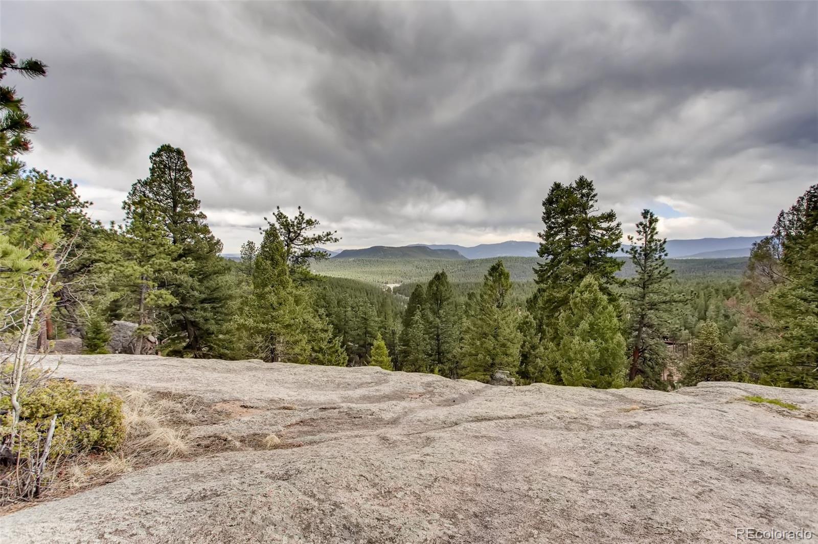 237 Rd B Pine, CO 80470 - Photo 10 of 35 Gallery Image 10