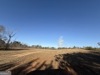 142 Wilson Way Musella, GA 31066 - Photo 23 of 39