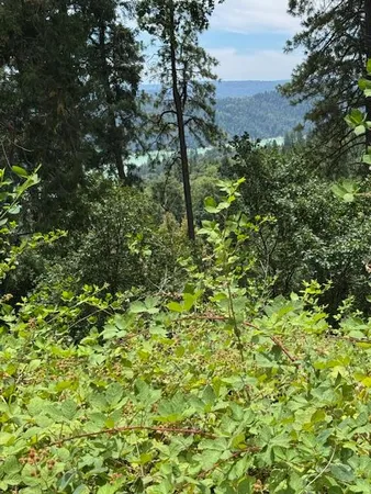 $199,500 | 16831 Garden Valley Road, Camptonville, CA 95922