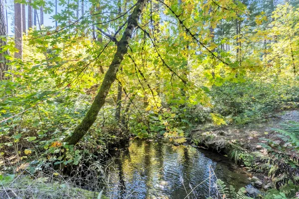 $199,500 | 16831 Garden Valley Road, Camptonville, CA 95922