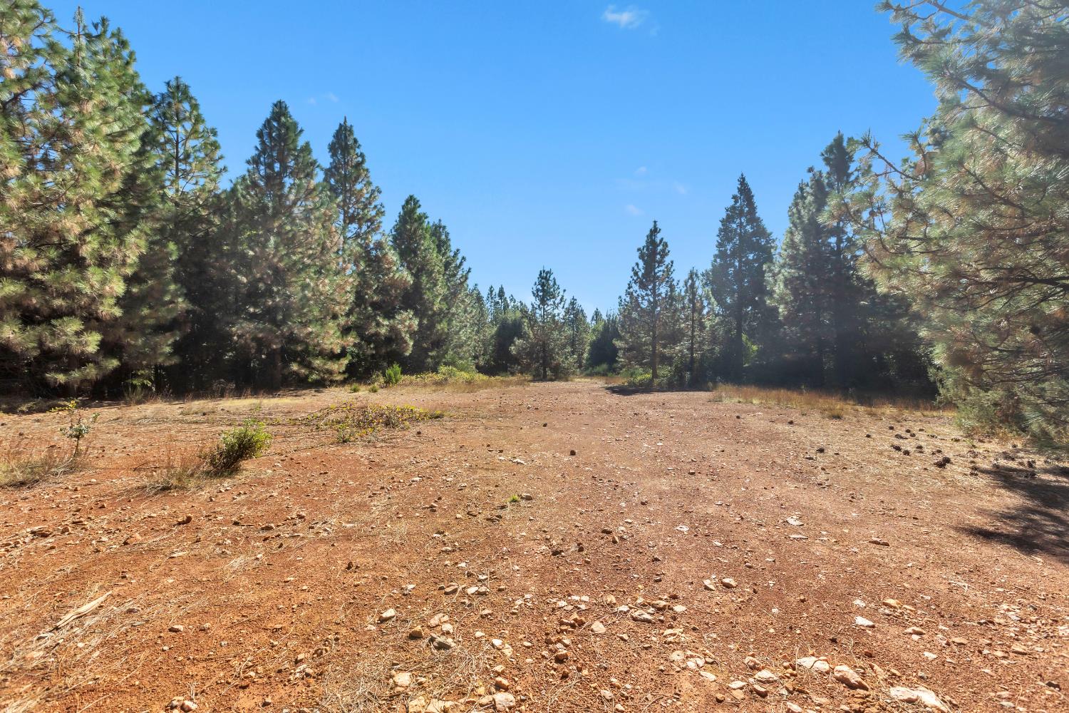 16831 Garden Valley Road Camptonville, CA 95922 - Photo 6 of 9 a view of a yard covered in snow