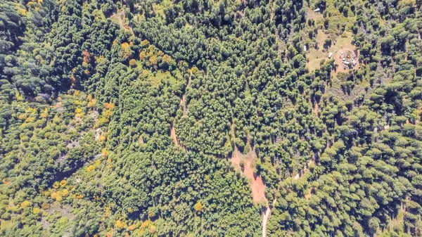 $199,500 | 16831 Garden Valley Road, Camptonville, CA 95922