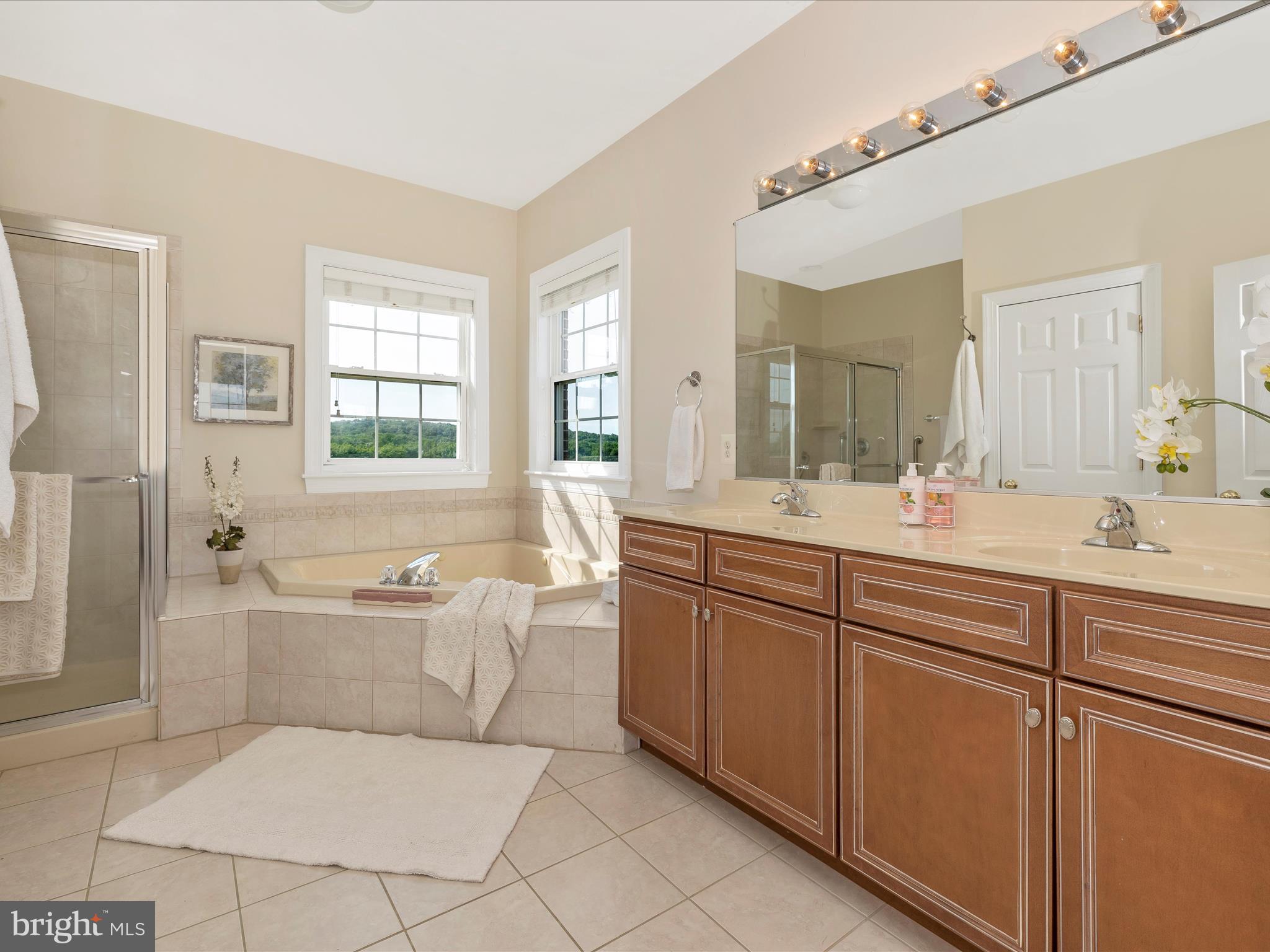 9235 Albaugh Road New Windsor, MD 21776 - Photo 49 of 110 Primary Bathroom