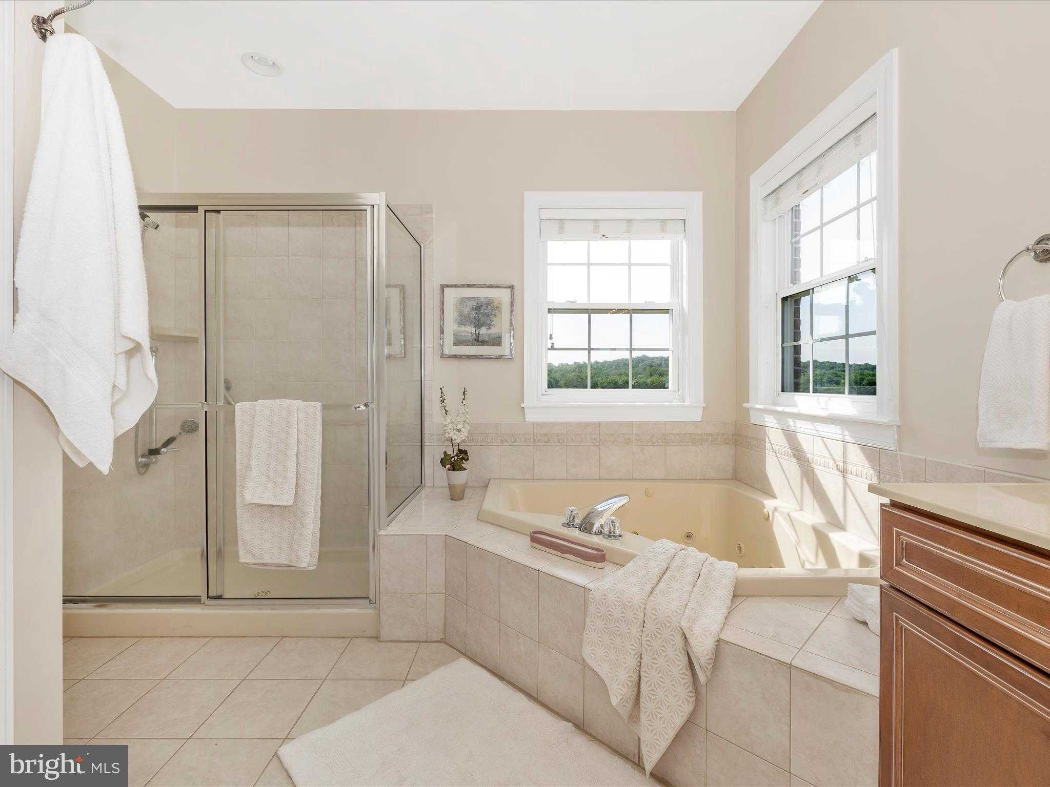 9235 Albaugh Road New Windsor, MD 21776 - Photo 50 of 110 Primary Bathroom