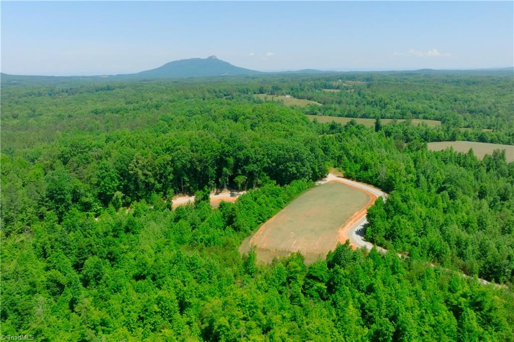 9 Roby Fulk Road Pinnacle, NC 27043 - Photo 5 of 17