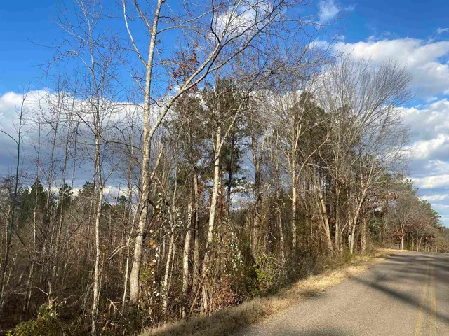 $64,900 | 1 Rose Creek Road, Hornsby, TN 38044