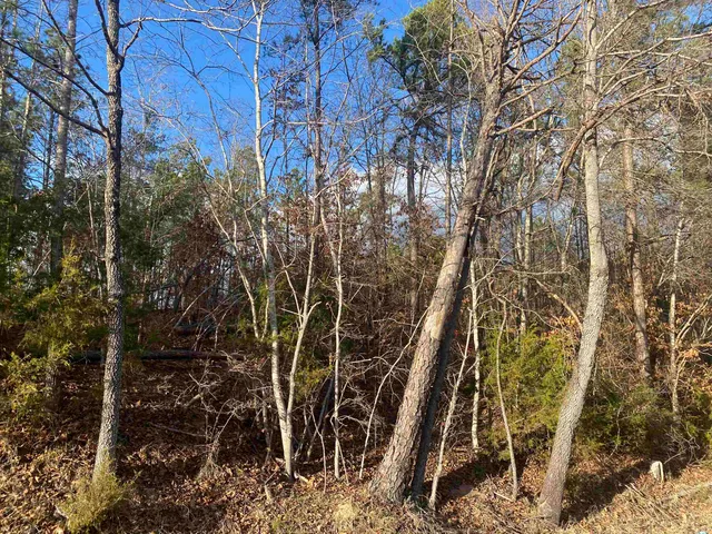 $64,900 | 1 Rose Creek Road, Hornsby, TN 38044