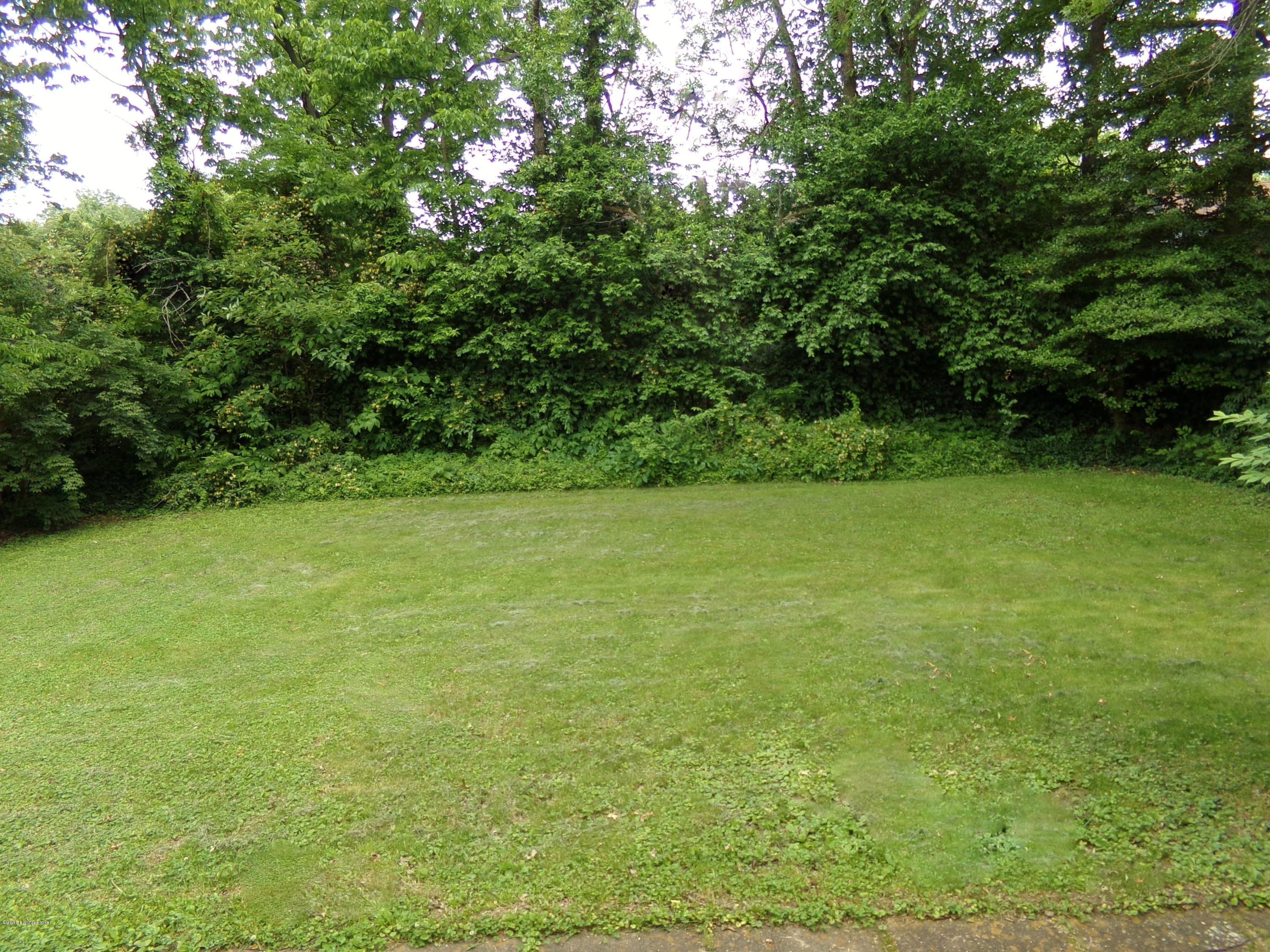 119 Buttercup Road Louisville, KY 40218 - Photo 2 of 12 BKYD