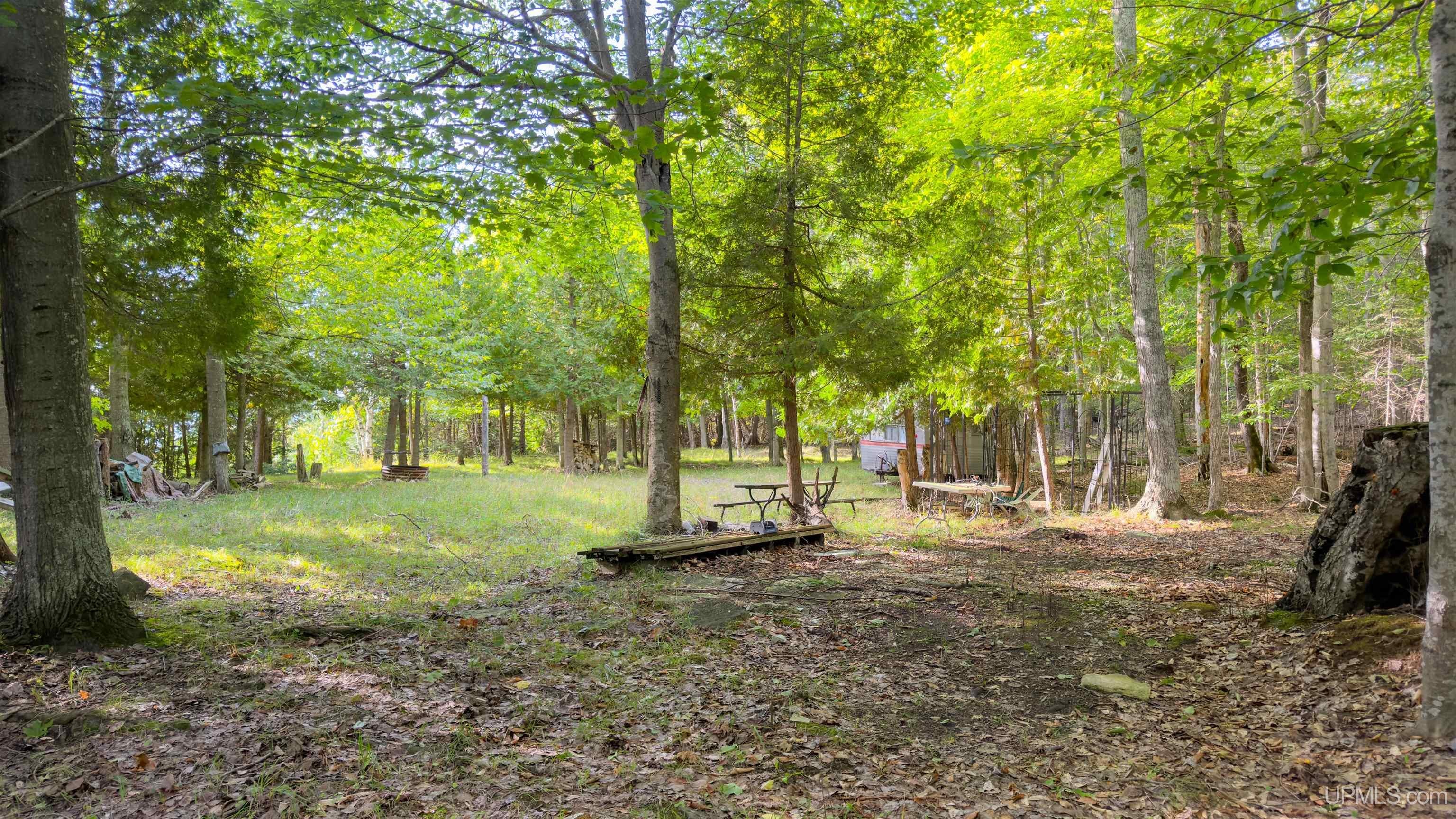 Tbd 9.5 Road Garden, MI 49835 - Photo 31 of 61 Gallery Image 31
