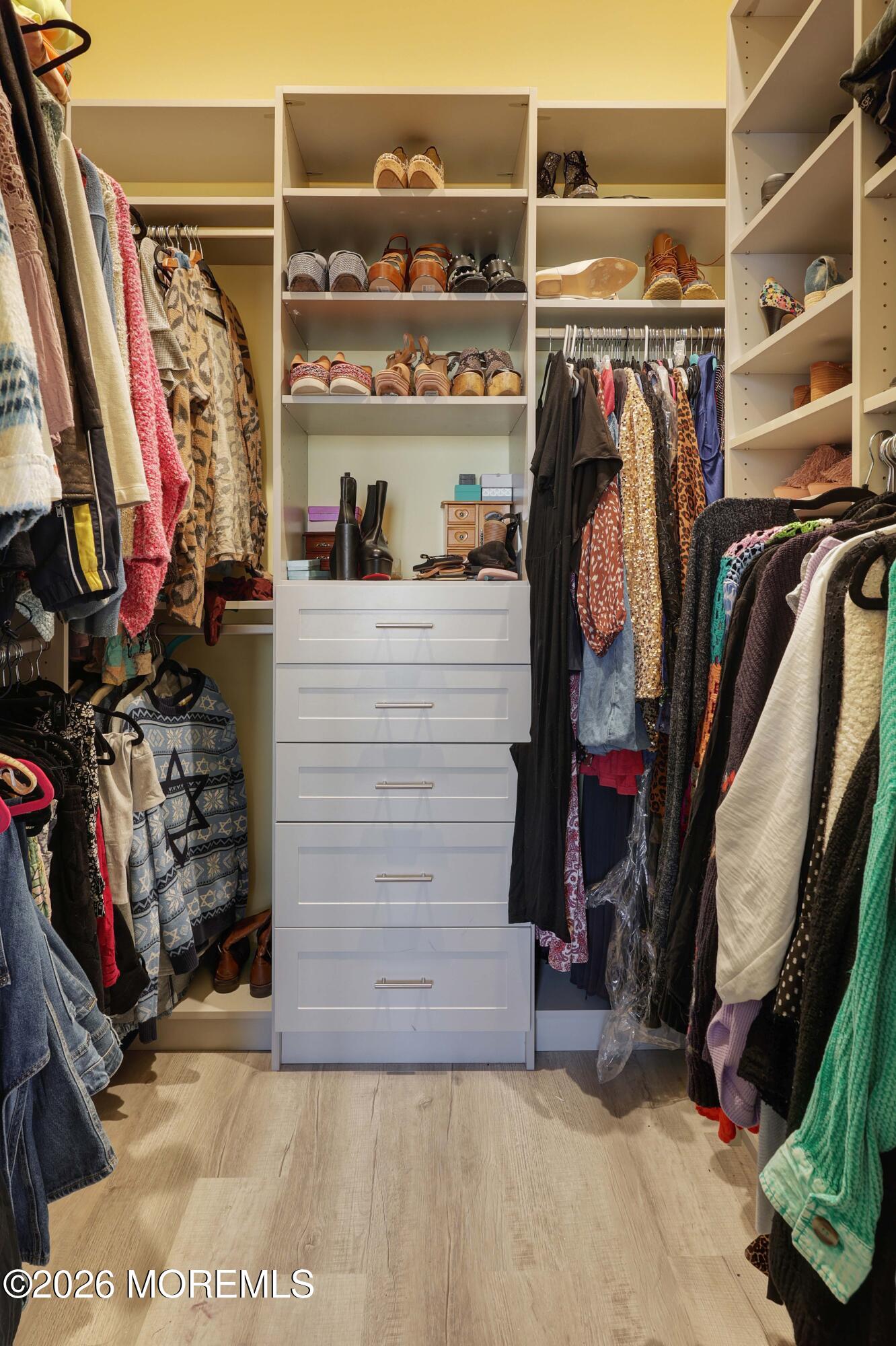 786 Holly Berry Lane Brick, NJ 08724 - Photo 27 of 52 a view of walk in closet with clothes and shoes
