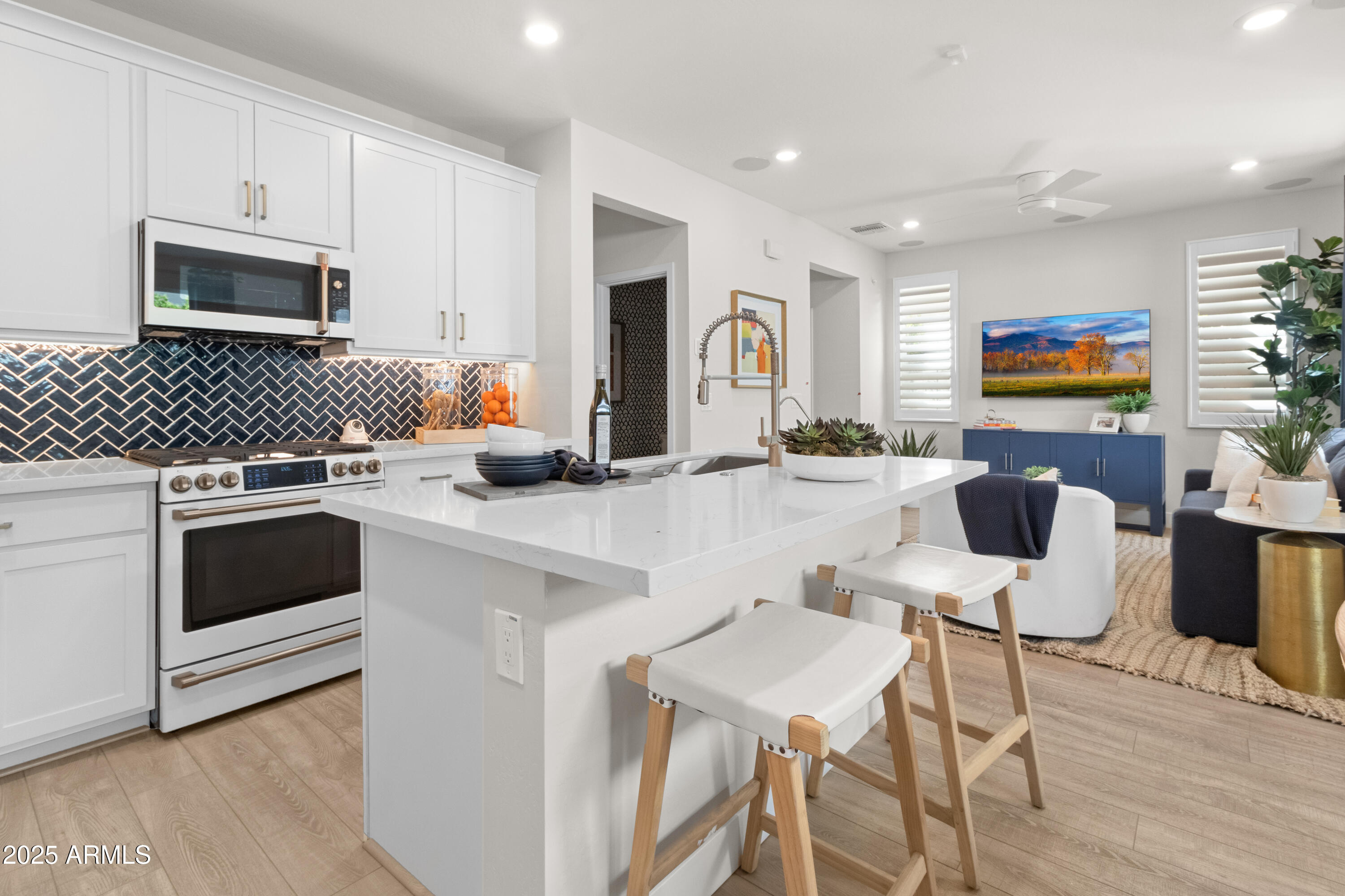 4744 South Element Mesa, AZ 85212 - Photo 23 of 25 IMG_3378