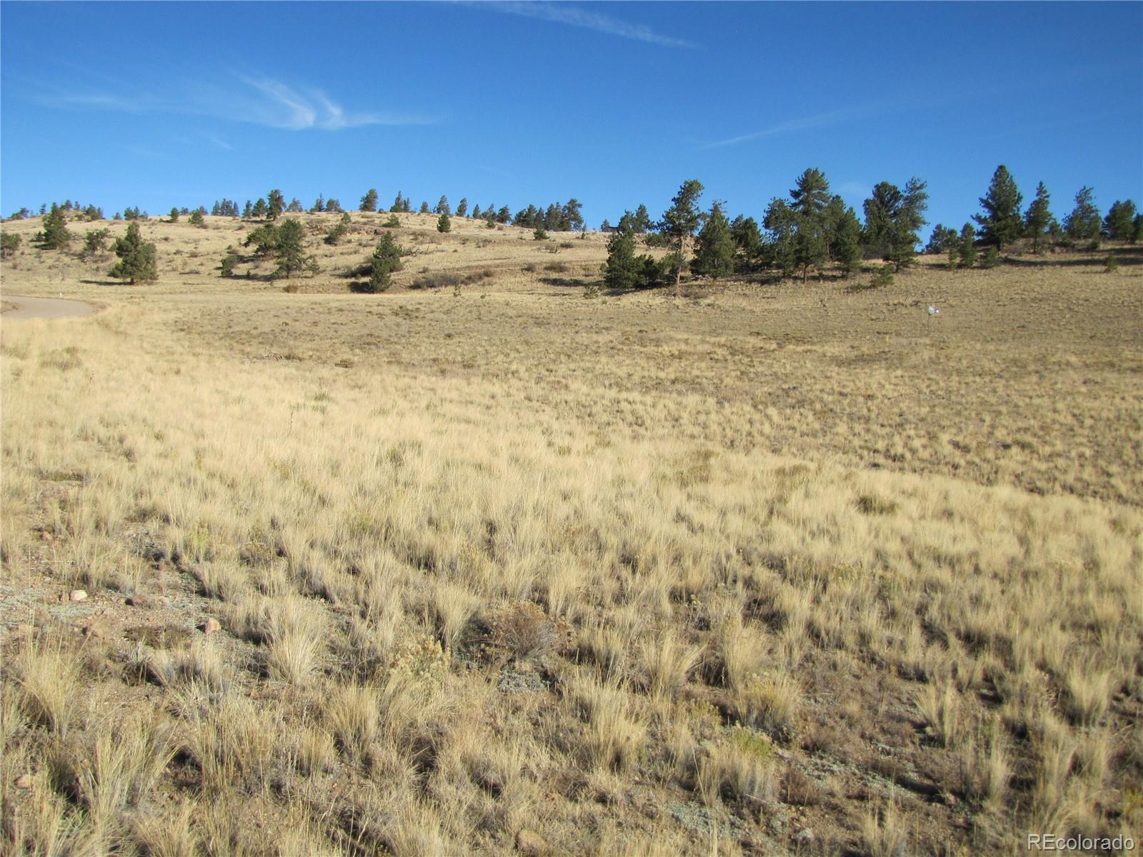 0 Forge Road Hartsel, CO 80449 - Photo 3 of 7 a view of a lake view