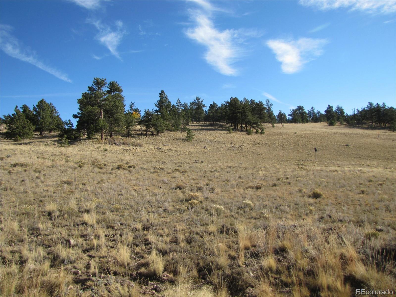 0 Forge Road Hartsel, CO 80449 - Photo 4 of 7