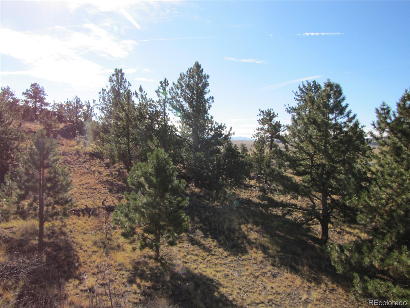 0 Forge Road Hartsel, CO 80449 - Photo 6 of 7 a view of a yard with a tree in the background
