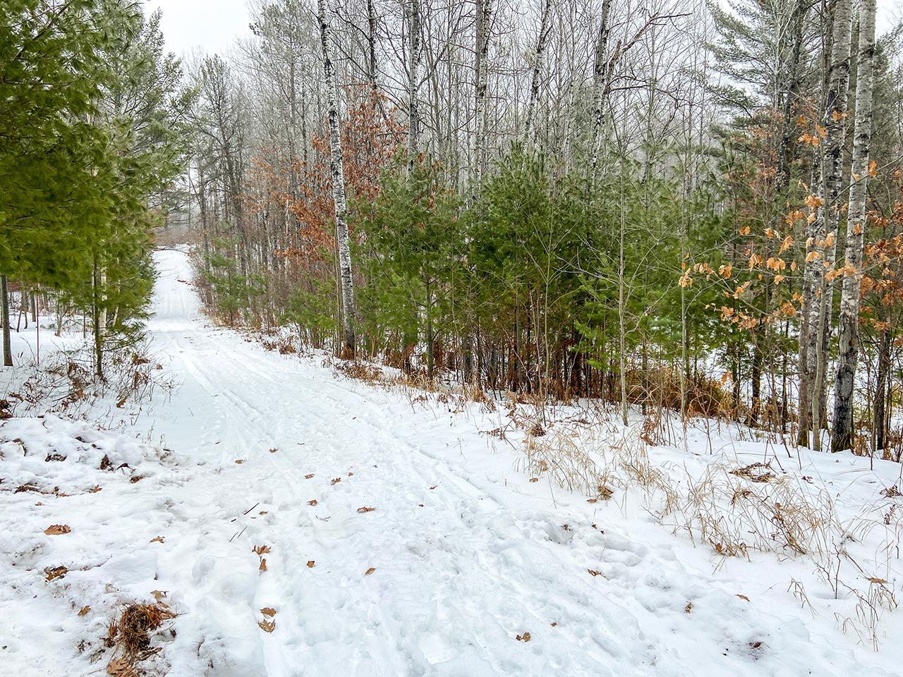 9729 Dusty Road Harshaw, WI 54529 - Photo 5 of 13 Gallery Image 5