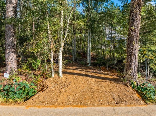 282 Dummyline Road Madisonville, LA 70447 - Photo 2 of 11