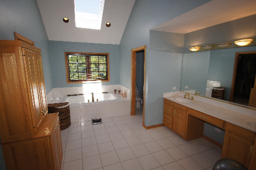 36W916 Valleyview Road Dundee, IL 60102 - Photo 8 of 16 a large bathroom with a tub sink and mirror