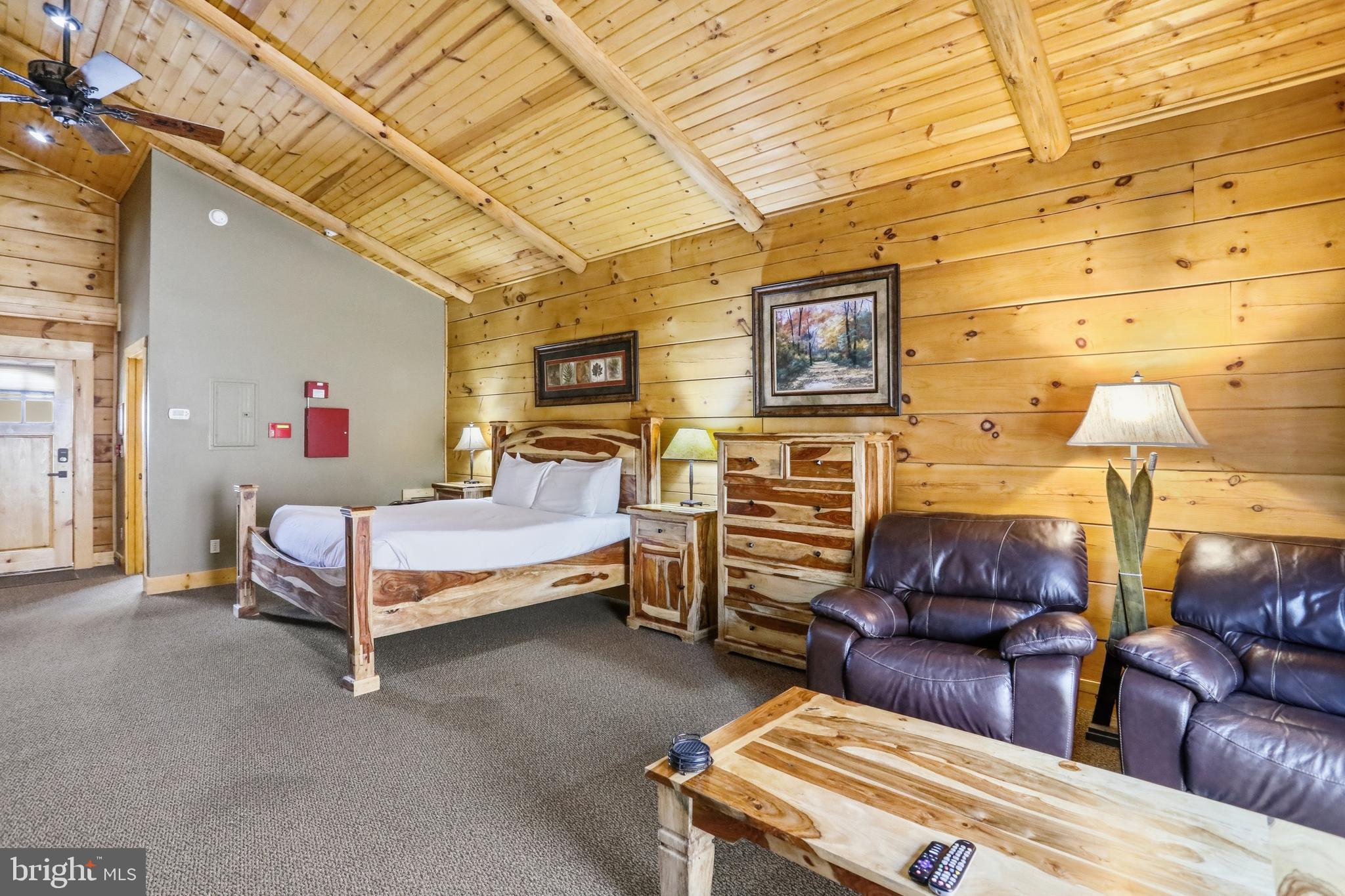 315 Cabin Lodge Road McHenry, MD 21541 - Photo 5 of 20