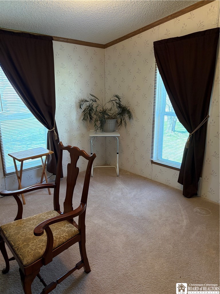 4314 Pancake Hill Road Ellery, NY 14712 - Photo 8 of 21