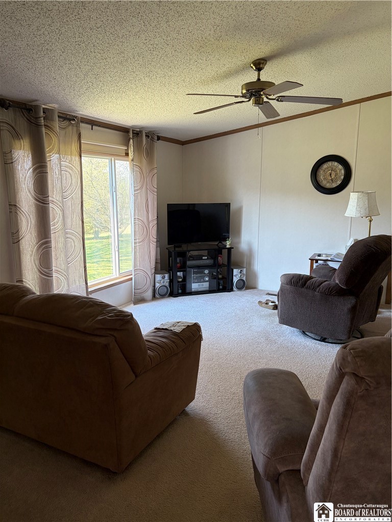 4314 Pancake Hill Road Ellery, NY 14712 - Photo 9 of 21