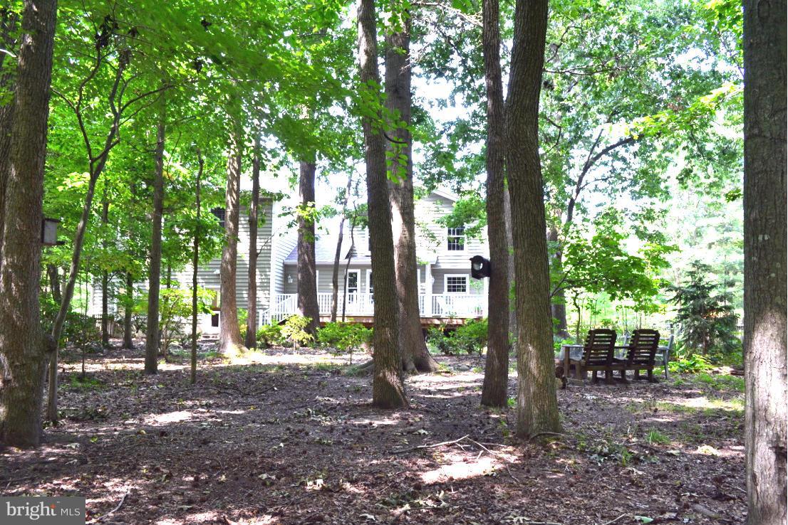 5989 Deale Beach Road Deale, MD 20751 - Photo 18 of 25 Exterior (Rear)