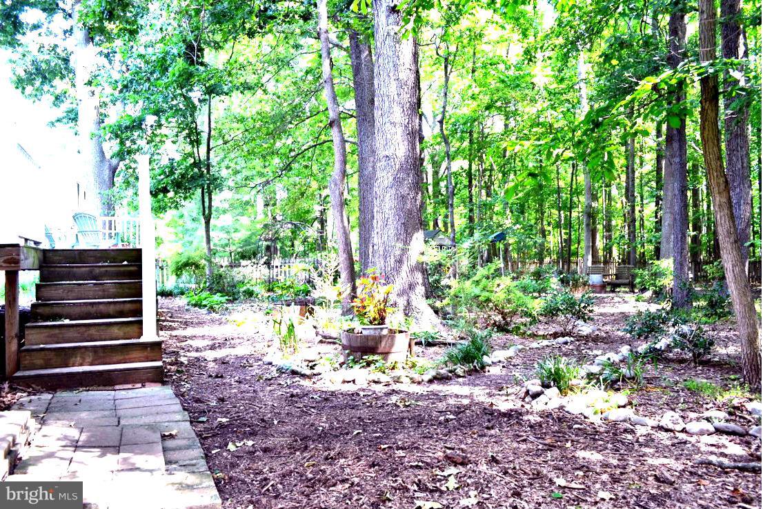 5989 Deale Beach Road Deale, MD 20751 - Photo 19 of 25 Exterior (Rear)