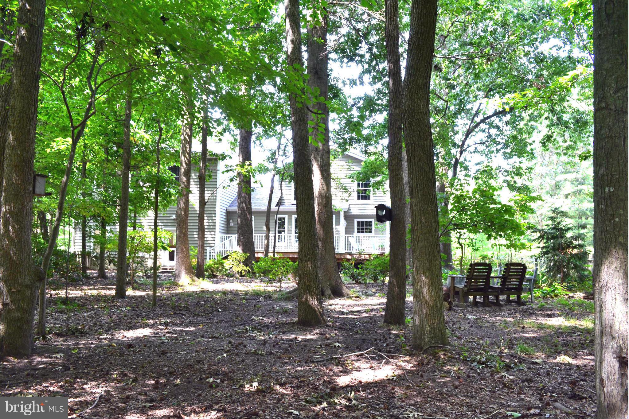 5989 Deale Beach Road Deale, MD 20751 - Photo 21 of 25 Exterior (Rear)