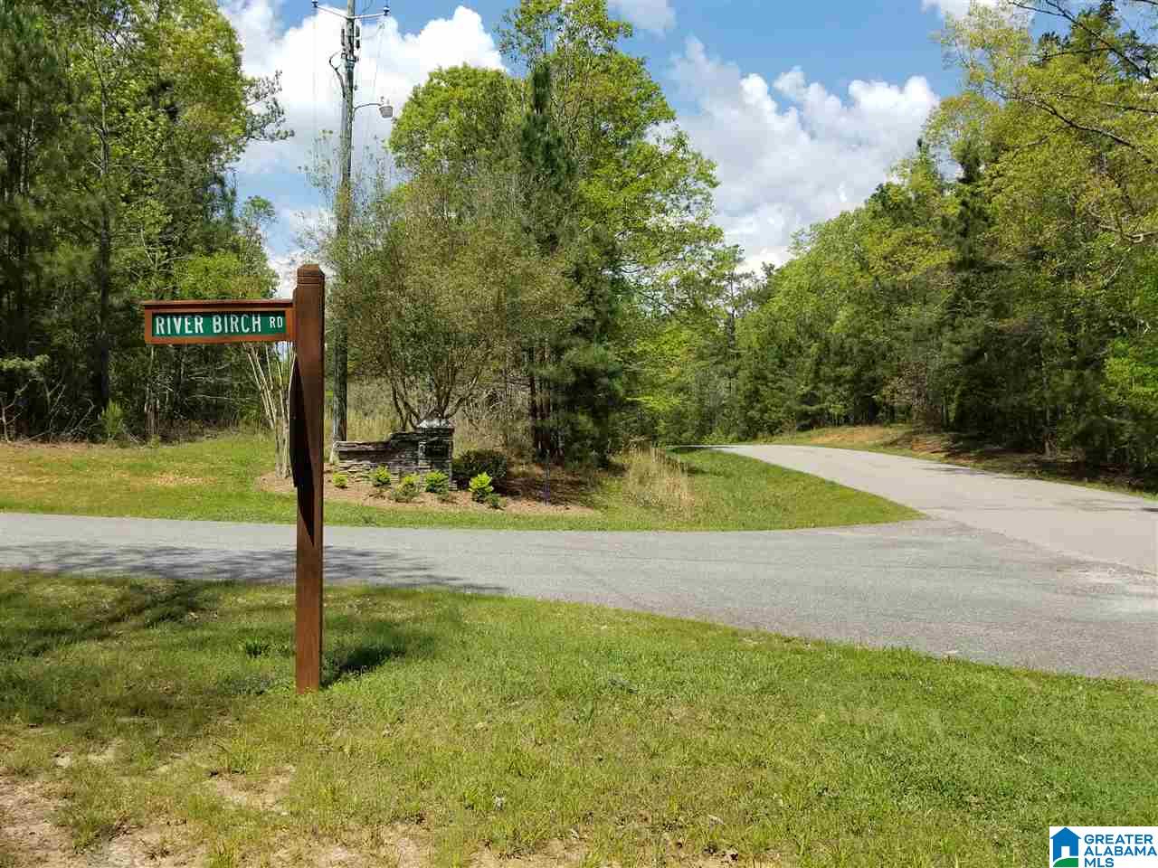 Lot 106 River Birch Road, Unit LOT 106 Wedowee, AL 36278 - Photo 5 of 14