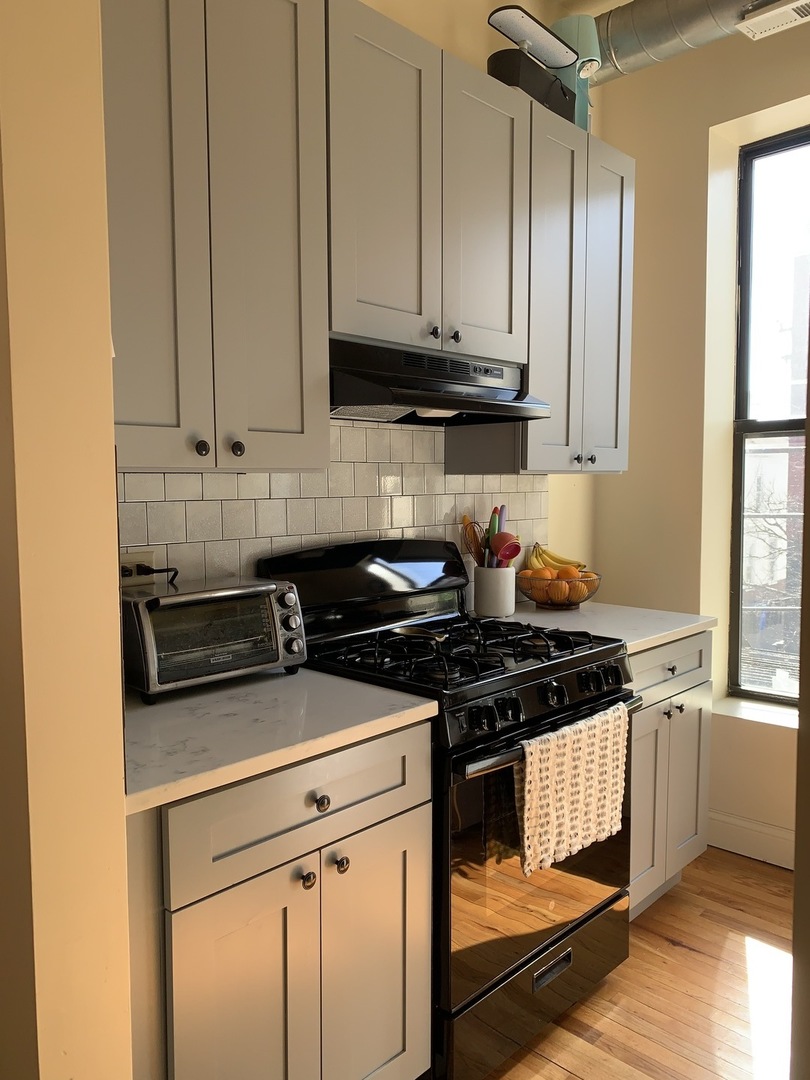 1843 South Racine Avenue, Unit 2R Chicago, IL 60608 - Photo 2 of 9