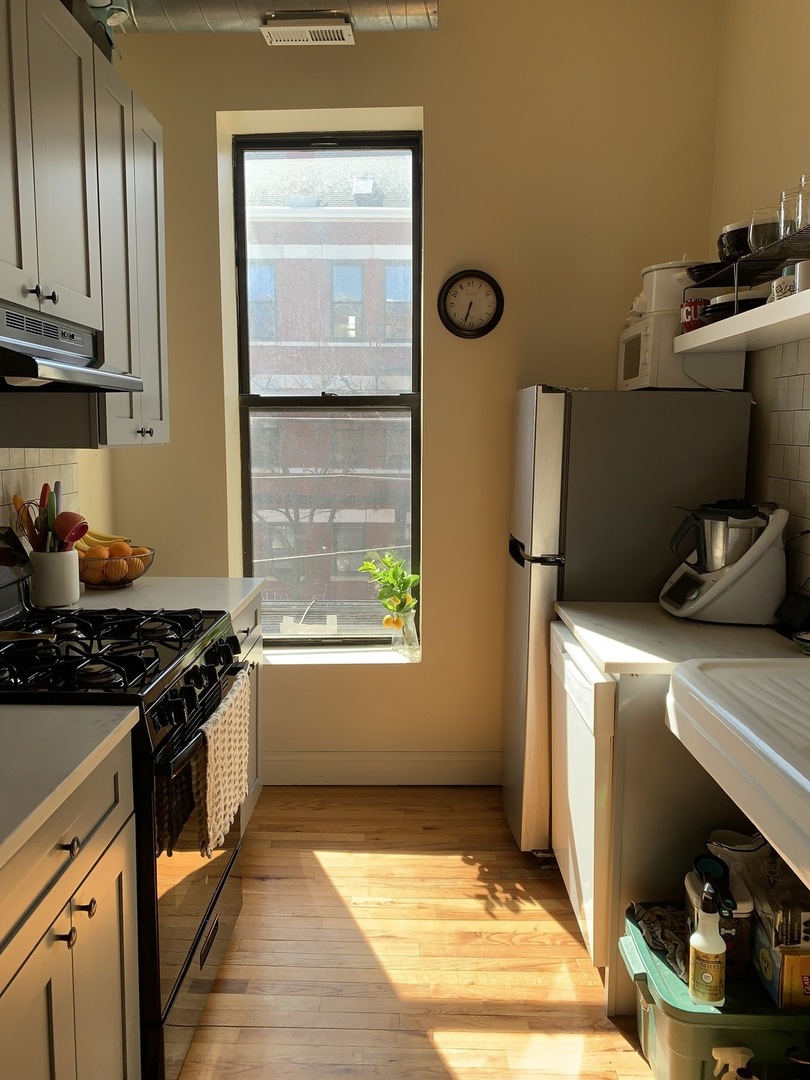 1843 South Racine Avenue, Unit 2R Chicago, IL 60608 - Photo 3 of 9