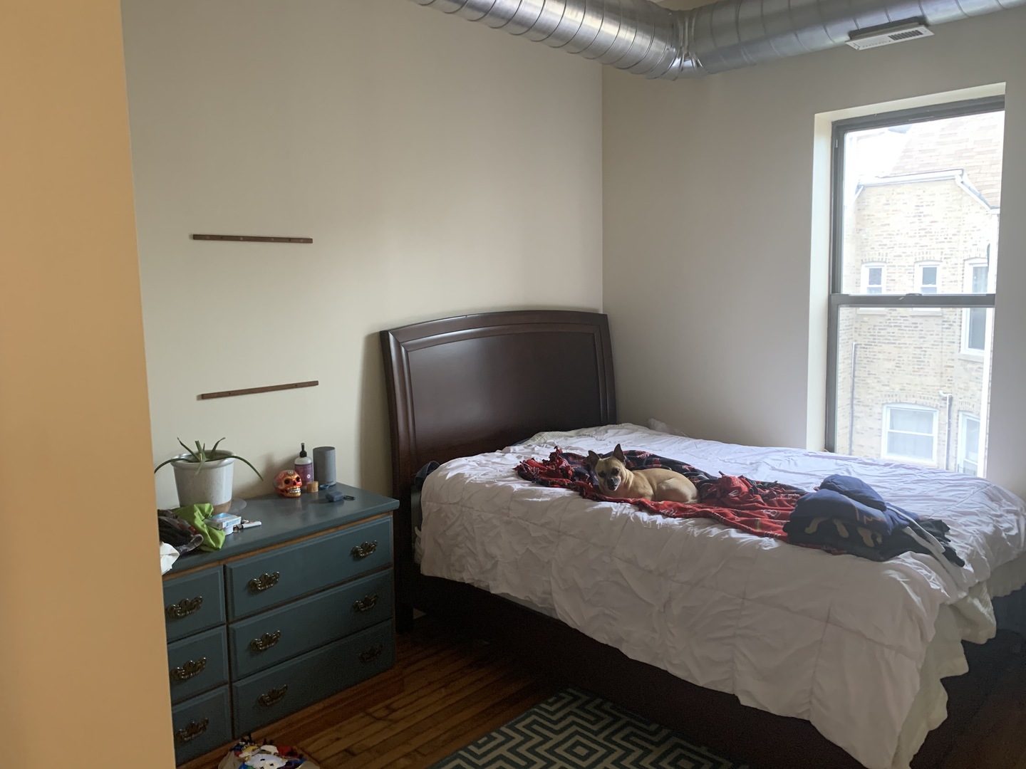 1843 South Racine Avenue, Unit 2R Chicago, IL 60608 - Photo 5 of 9
