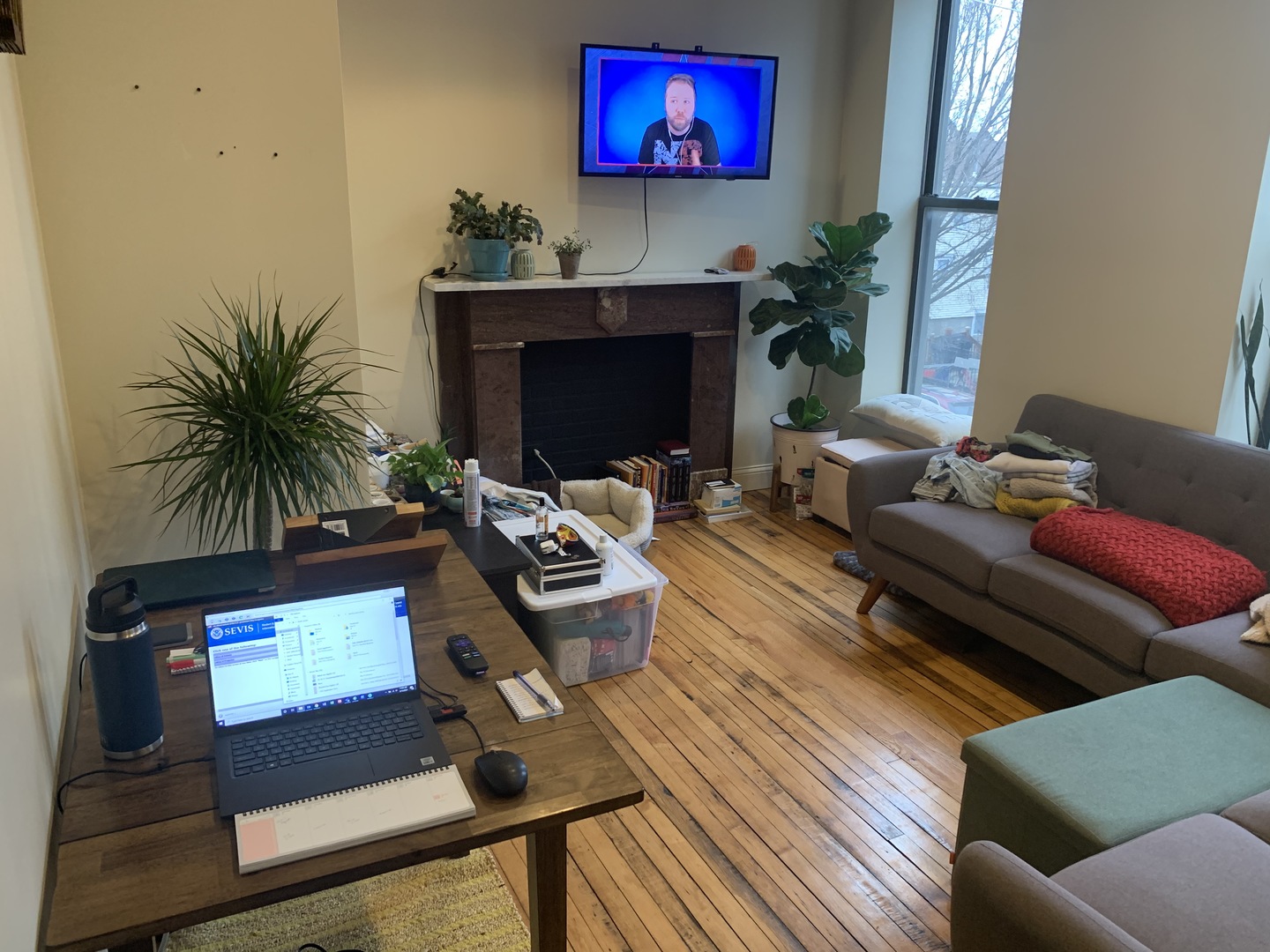 1843 South Racine Avenue, Unit 2R Chicago, IL 60608 - Photo 8 of 9