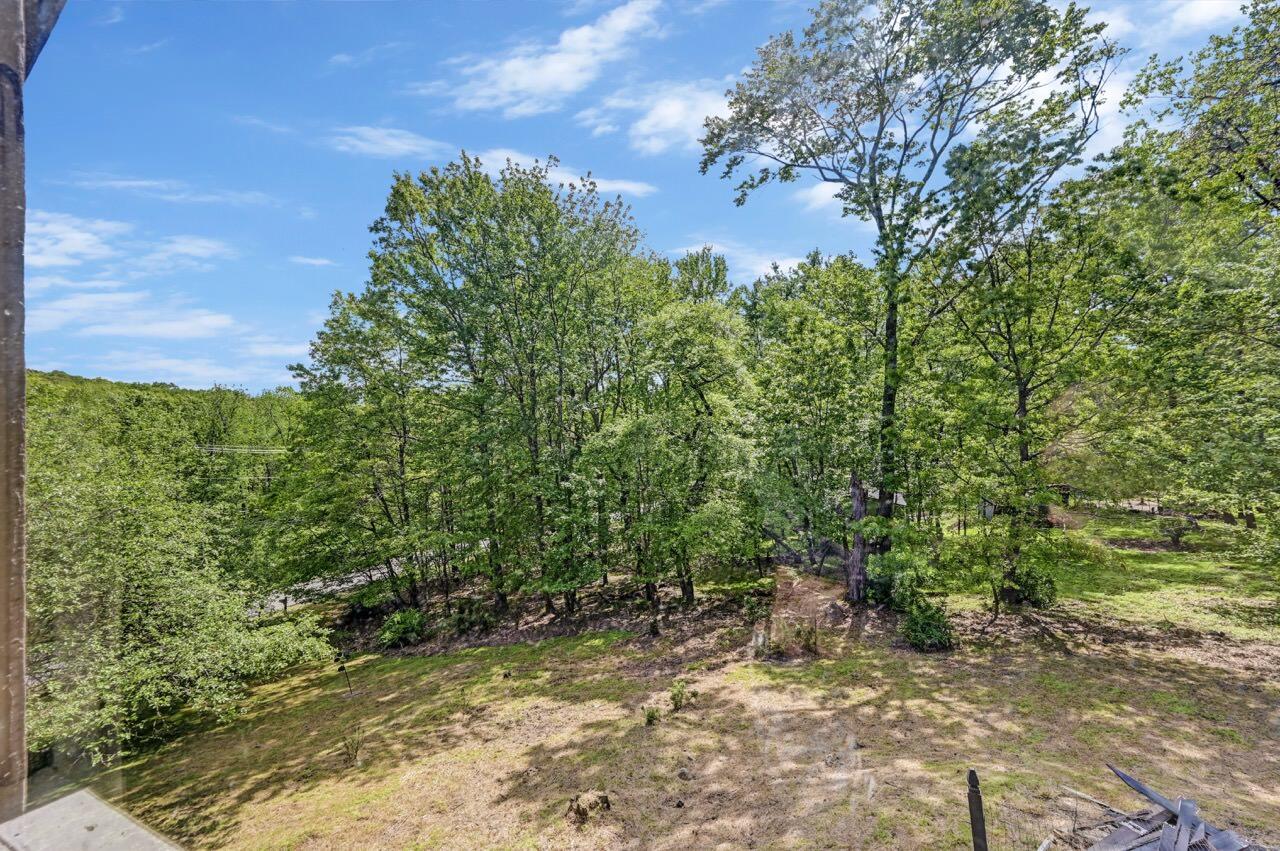 2285 Bear Town Road Canadensis, PA 18325 - Photo 43 of 58 a view of a yard with plants and large trees