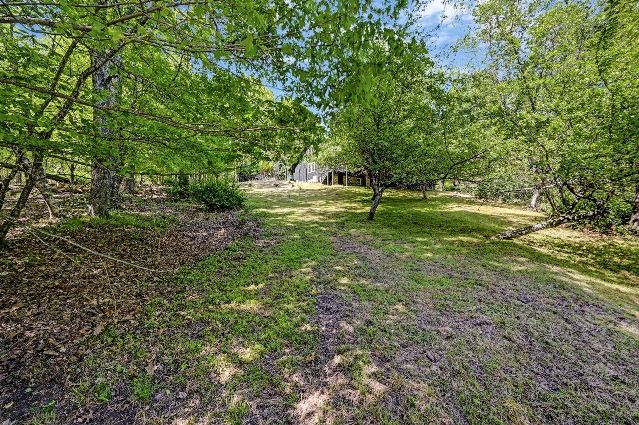 2285 Bear Town Road Canadensis, PA 18325 - Photo 49 of 58 a big yard with lots of green space and deers