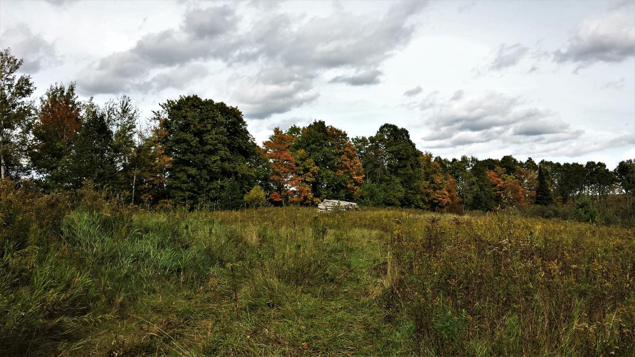 80104 Peeksville Road Butternut, WI 54514 - Photo 11 of 16 Gallery Image 11