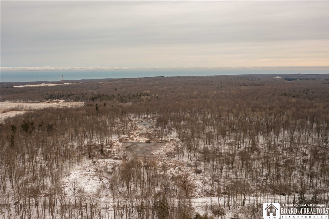 0 Kent Road Ripley, NY 14775 - Photo 1 of 1 aerial photo