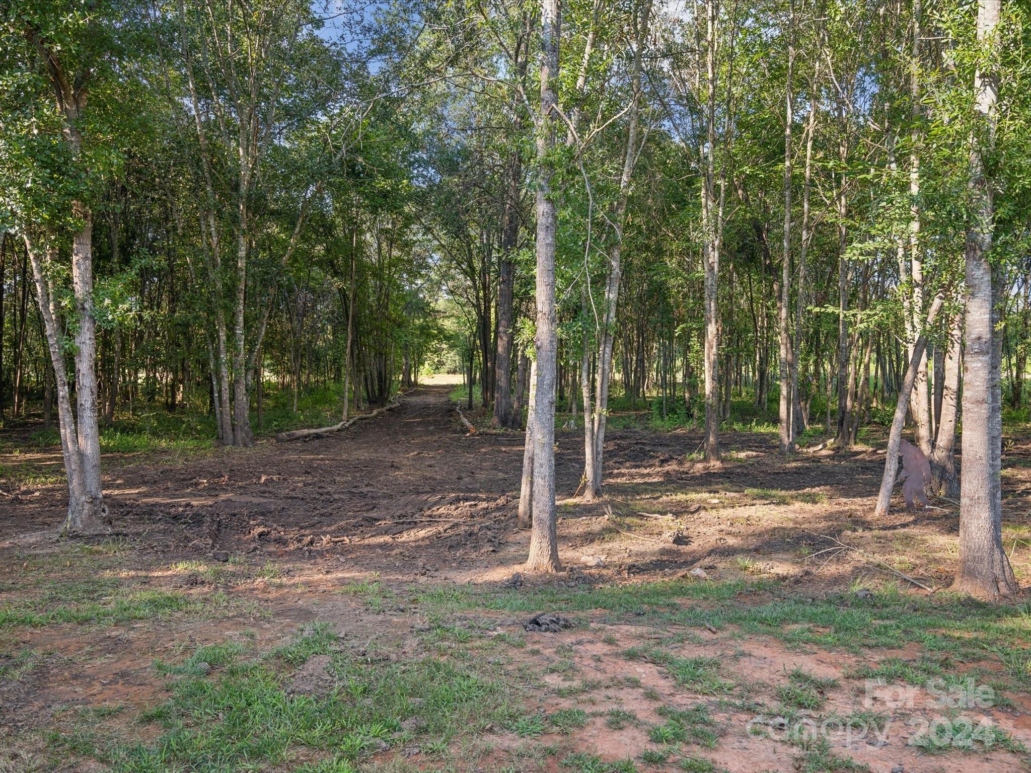 246 East Rambo Road Rock Hill, SC 29730 - Photo 42 of 48 a view of a backyard with trees