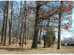 0 Renwick Road Charlotte, NC 28211 - Photo 1 of 1 Gallery Image 1